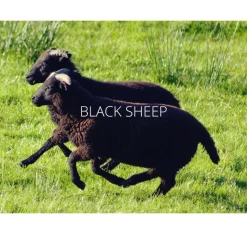 BLACK SHEEP / GL07 knitted glove