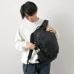 GREGORY / Allen 26 AL