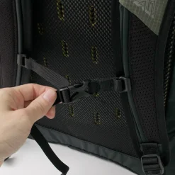 GREGORY / Allen 26 AL