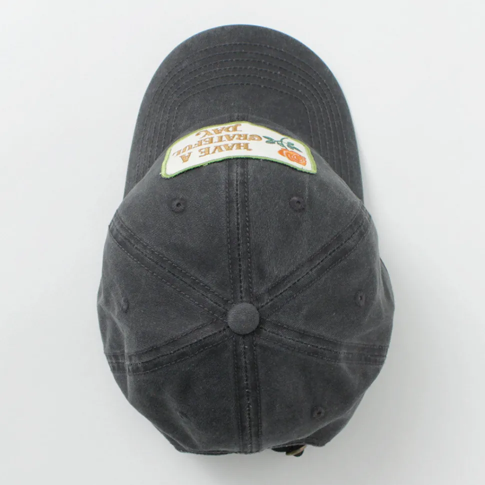 HAVE A GRATEFUL DAY / 6 Panel Cap